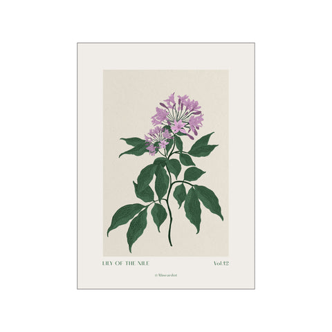 Lily of the nile — Art print by A Linear Dot from Poster & Frame