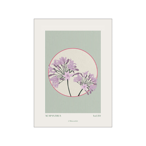 Agapanthus- Botanical print on stripes