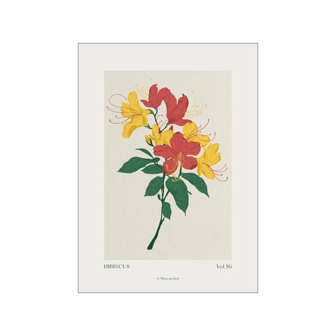Hibiscus - Bold Botanical print