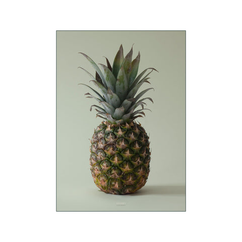 Ananas - Beige