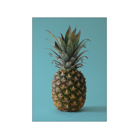 Ananas - Blå