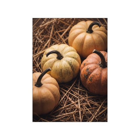 Autumn Harvest Pumpkins