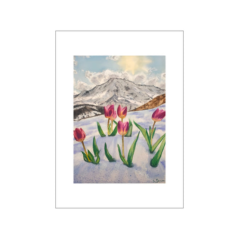 Tulips of Mountain