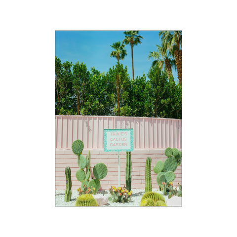 Pink Cactus Garden — Art print by Bethany Young from Poster & Frame