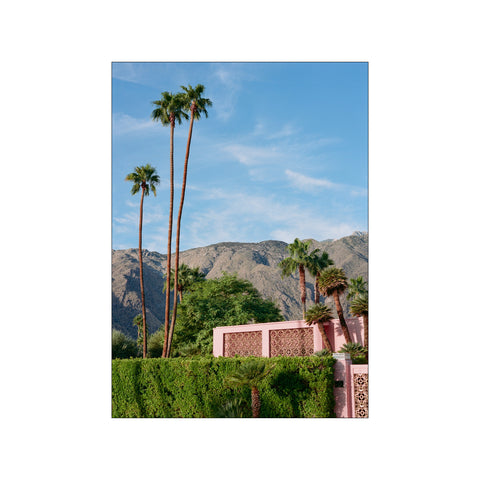Pink Resort Palms — Art print by Bethany Young from Poster & Frame