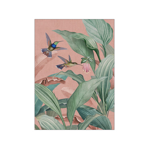 Tropical Birds of Paradise Garden — Art print by Bloomery Decor from Poster & Frame