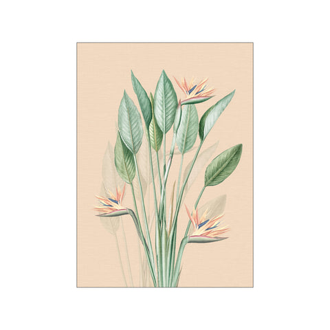 Tropical leaves and paradise flowers - peach — Art print by Bloomery Decor from Poster & Frame