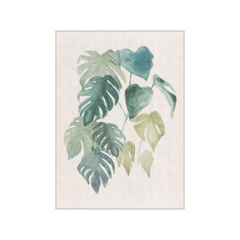 watercolour monstera Watercolour monstera tropical leaves