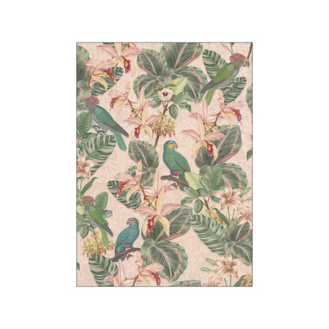 Parrots and orchid flowers tropical dream - Pink — Art print by Bloomery Decor from Poster & Frame