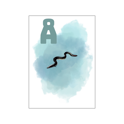 Å Blue Ål — Art print by Tinasting from Poster & Frame