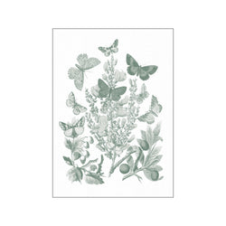 Butterfly Bouquet II Sage — Art print by Wild Apple from Poster & Frame