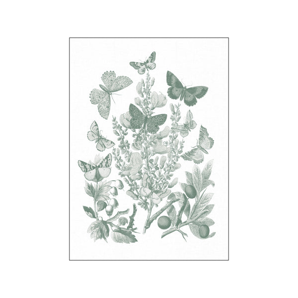 Butterfly Bouquet II Sage — Art print by Wild Apple from Poster & Frame