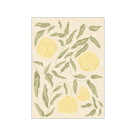 Butter Yellow flowers No. 02