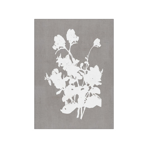 Botanical Illustration 3 — Art print by Cartissi from Poster & Frame
