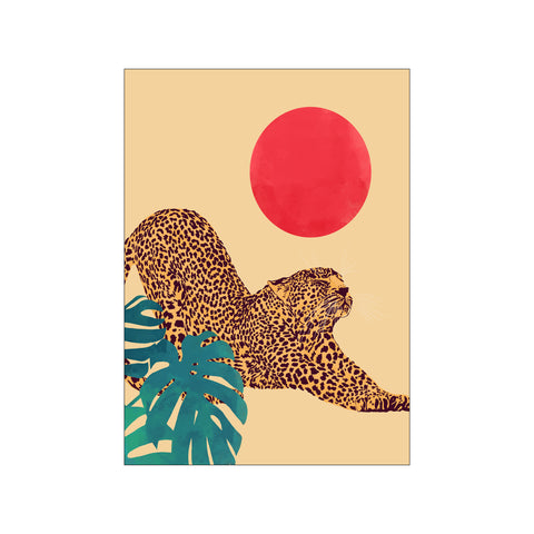 Cheetah