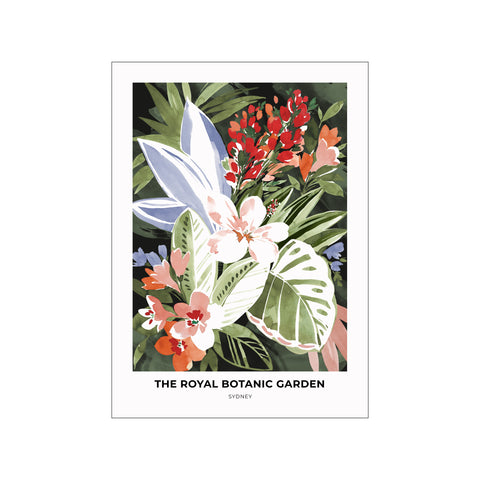 Sydney Royal Botanic Gardens — Art print by Charlie Taylor from Poster & Frame