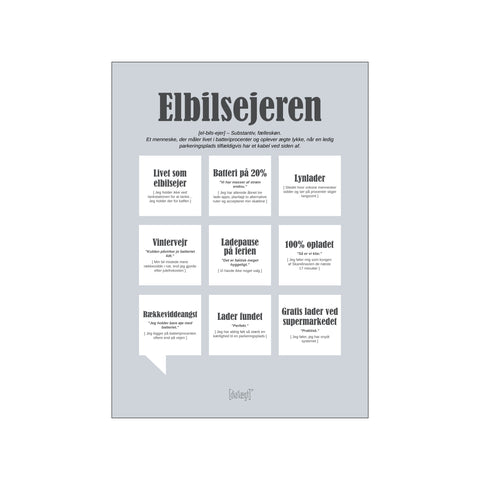 Elbilsejeren