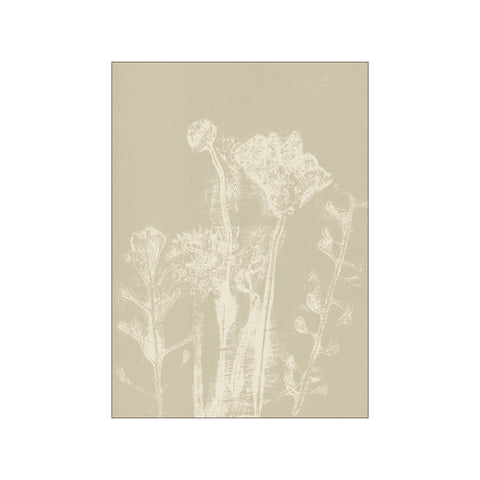Abstract Florals — Art print by Dina Dankers from Poster & Frame