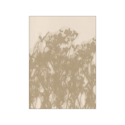 Wild Meadow in Ochre and White — Art print by Dina Dankers from Poster & Frame