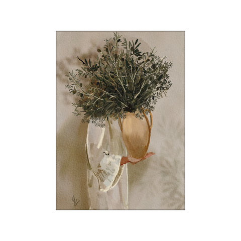 Olive Lady