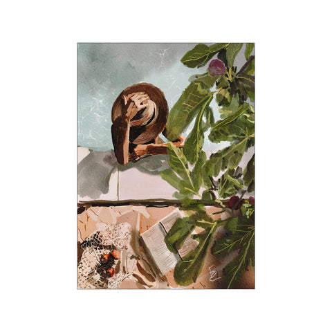 Under the Fig tree