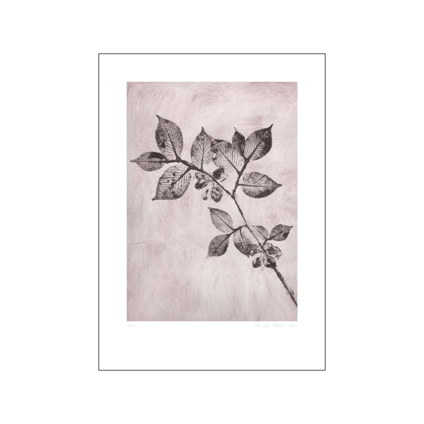 Elm 1 Dusty Brown — Art print by Pernille Folcarelli from Poster & Frame