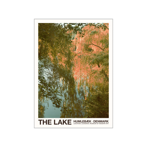 Louisiana THE LAKE — Art print by Florent Bodart from Poster & Frame