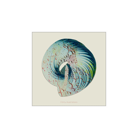 Swirl — Art print by Fōmu illustrations from Poster & Frame