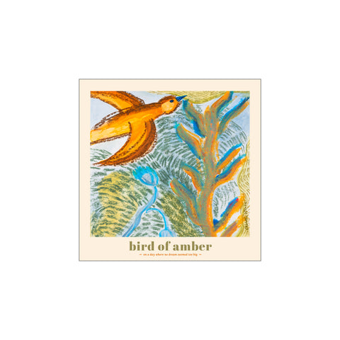 Bird of Amber – Square