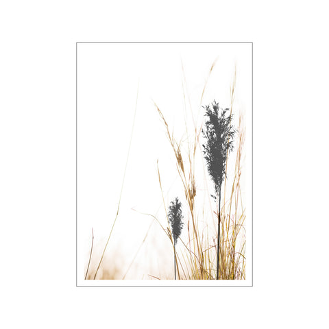 Summer Nights — Art print by Form Faktory from Poster & Frame