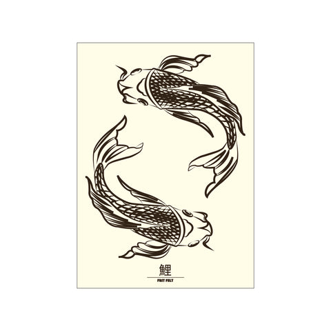Koi Brun