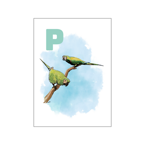 P Green Papegøje — Art print by Tinasting from Poster & Frame