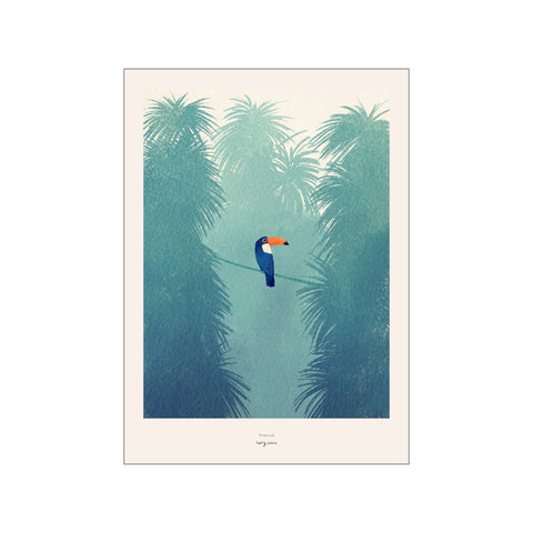 Toucan