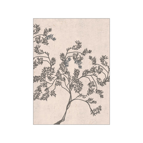 Acacia nilotica — Art print by Josie George from Poster & Frame
