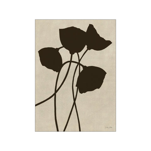 Poppies