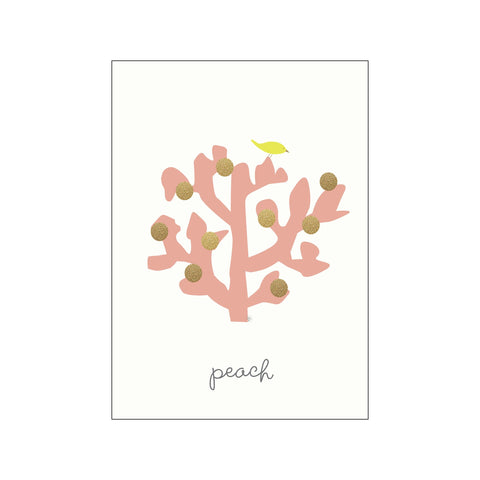 Kaktusserie peach — Art print by Lydia Wienberg from Poster & Frame