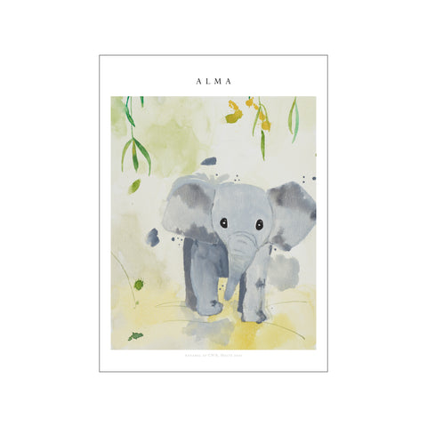 Alma - Elefant