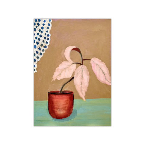 Stilleben med plante