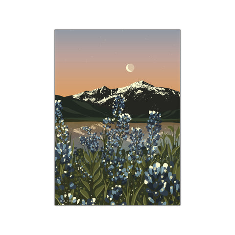 Lupines — Art print by Laura Thomsen from Poster & Frame