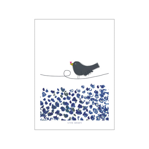 Lille Solsort — Art print by Lydia Wienberg from Poster & Frame