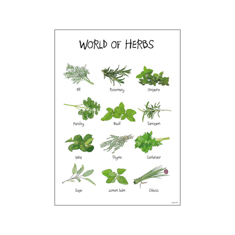 World of Herbs — Art print by Mouse & Pen from Poster & Frame