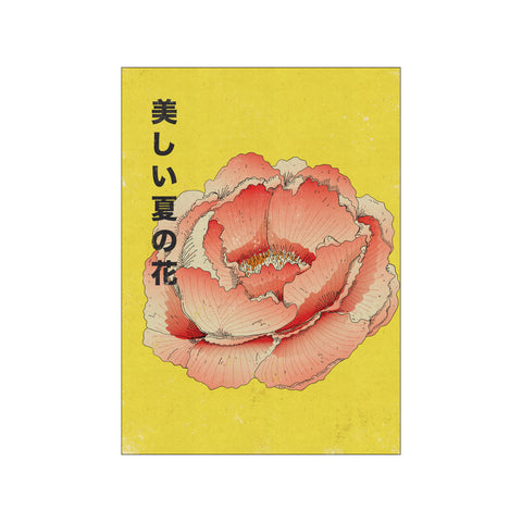Japanese Summer Peony