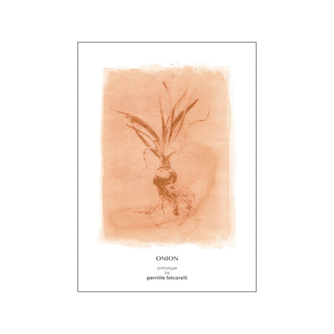 Onion sienna — Art print by Pernille Folcarelli from Poster & Frame