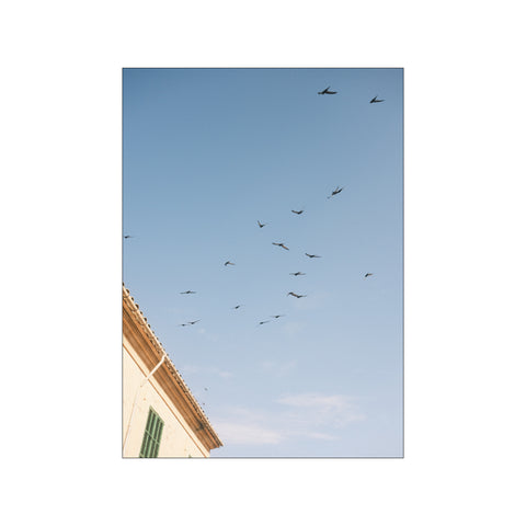 Looking Up in Santanyí — Art print by outofalexcam from Poster & Frame