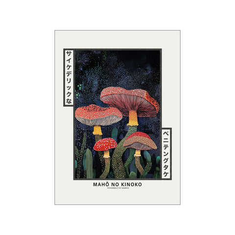 Magic Night Mushrooms