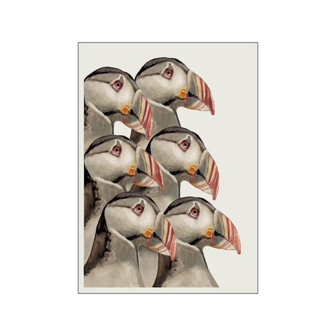 Puffins — Art print by Svenningsen Møller Design from Poster & Frame