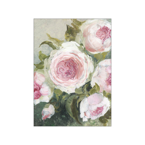 Soft Pink Roses