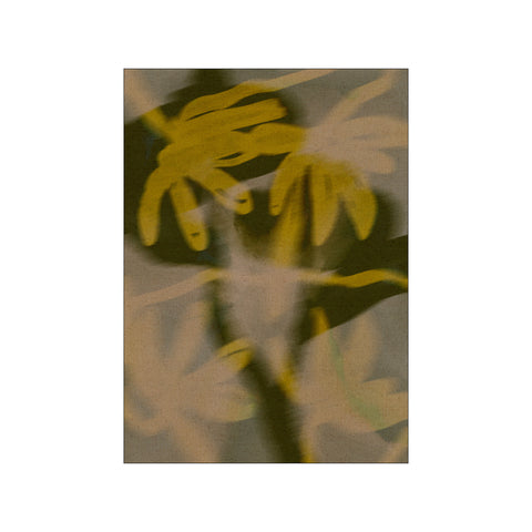 Soft Blossom 4 — Art print by Shatha Al Dafai from Poster & Frame