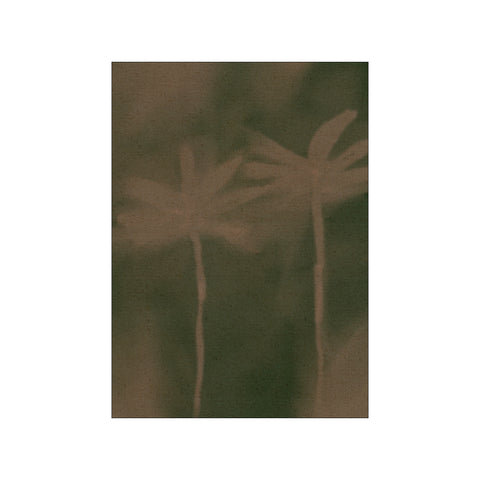 Soft Blossom 6 — Art print by Shatha Al Dafai from Poster & Frame