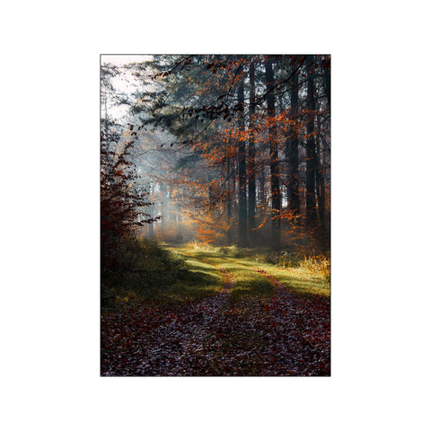 Skovlysning — Art print by PLAKATfar from Poster & Frame